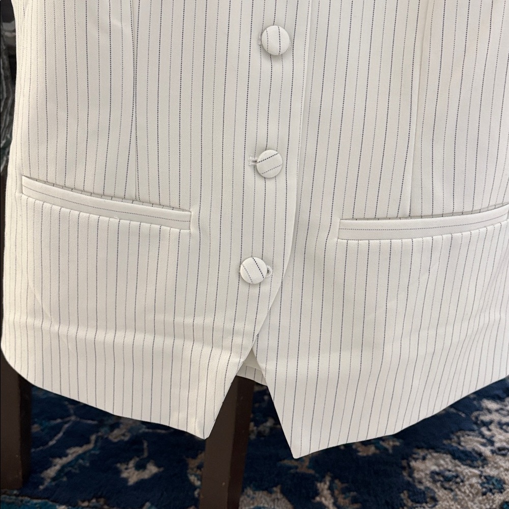 Rachel Zoe Ivory Pinstripe Buttoned Vest - Picture 4 of 5
